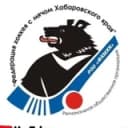 Канал Федерация хоккея с мячом Хабаровского края в Telegram