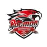 Хоккейный клуб "Ростов"