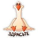 Стикеры Гусь Федька в Telegram