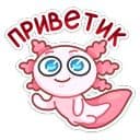Стикеры Лотти в Telegram