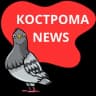 Telegram-канал Кострома_NEWS