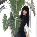 Канал Kery’s Garden в Telegram