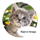 Стикеры Злые животные в Telegram