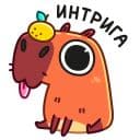 Стикеры Пиби в Telegram