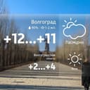 Бот Погода Волгоград в Telegram