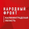 Telegram-канал Народный Фронт I Калининградская область