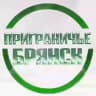 Telegram-канал Приграничье Брянск 🇷🇺
