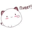 Стикеры Круглокот 2.0 в Telegram