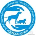 Канал Добрые руки Ростов-на-Дону в Telegram