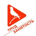 Канал Труд и занятость в Курской области в Telegram