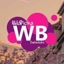 Канал WildPicks | Подборки wildberries в Telegram