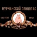 Канал Мурманский свинопас в Telegram