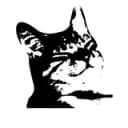 Канал мемы про котов (по ржать) в Telegram