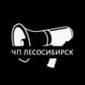 Telegram-канал ЧП Лесосибирск