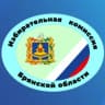 Telegram-канал Брянский избирком