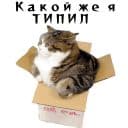 Стикеры Колкие фразы в Telegram