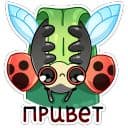 Стикеры Олли в Telegram