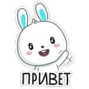 Стикеры Кролик в Telegram