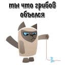 Стикеры Кот-вредина в Telegram