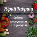 Канал Дача: Советы огородникам и садоводам в Telegram