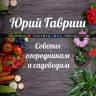 Telegram-канал Дача: Советы огородникам и садоводам
