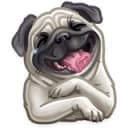 Канал Собаки / Собачки в Telegram