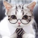 Канал Котики в очках 🕶 в Telegram