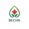 Telegram-канал Жк весна Казань news