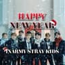 STRAY KIDS | INARMY