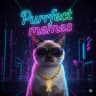 Telegram-канал Purrfect Memes