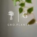 Канал Gro.plants - растения Казань 🌿 в Telegram