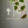 Telegram-канал Gro.plants - растения Казань 🌿