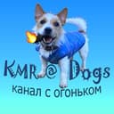 Канал KMR@Dogs🐶 в Telegram