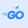 Библиотека Go разработчика | Golang