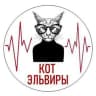 Telegram-канал Кот Эльвиры