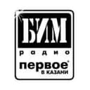 Канал БИМ-радио в Telegram