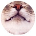 Стикеры Кошачьи нежности в Telegram