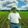 Telegram-канал Крипто фермер 🌽