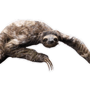 Стикеры Sloth в Telegram