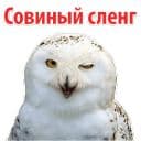 Стикеры ?Совиный Сленг в Telegram