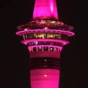 Канал Life in New Zealand. Новая Зеландия. в Telegram