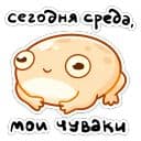 Стикеры Мистер Жабка в Telegram