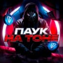 Канал Паук на Тоне 🕸️ в Telegram