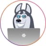 Telegram-канал SW_BERDSK_LIVESTORE