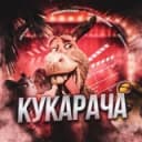 Канал КУКАРАЧА СМЕШНЫЕ ВИДЕО ПРИКОЛЫ в Telegram
