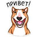 Стикеры Тай в Telegram