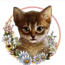 Канал Dari_dobro_cat в Telegram