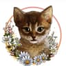 Telegram-канал Dari_dobro_cat