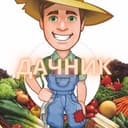 Канал ДАЧНИК в Telegram