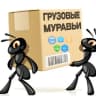Telegram-канал Грузовые муравьи - ЗАКАЗЫ